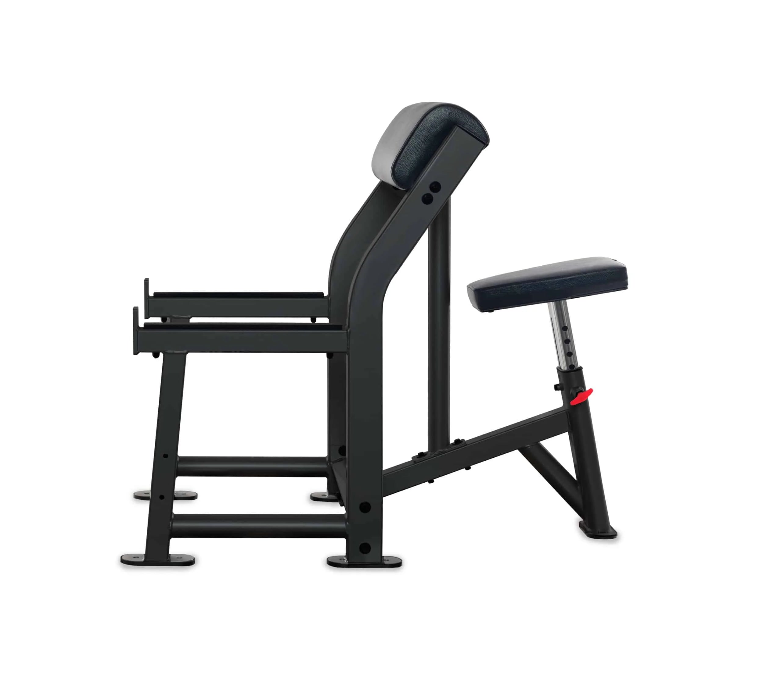 Fitness an Bord, Preacher Curl Bank an Bord