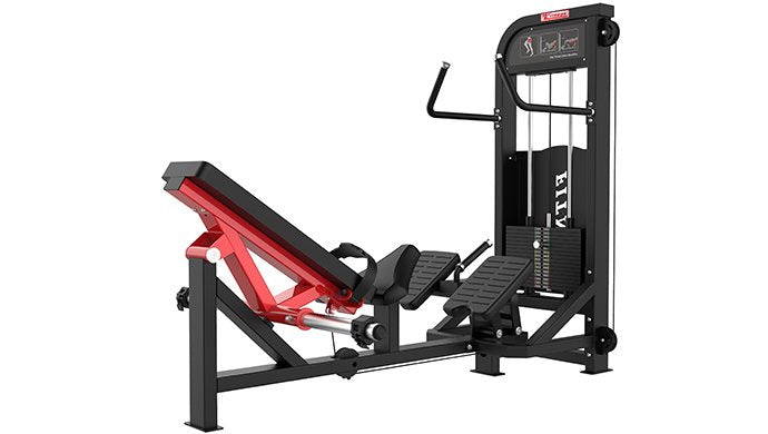 Sport- und Fitnessbörse, SFE Hip Thrust Glute Machine mit 250lb Gewichtsstapeln